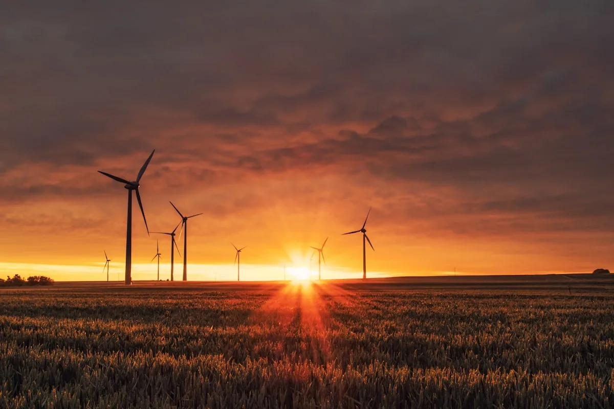 Mexico and United States Advance High-Level Clean Energy and Border Logistics Talks