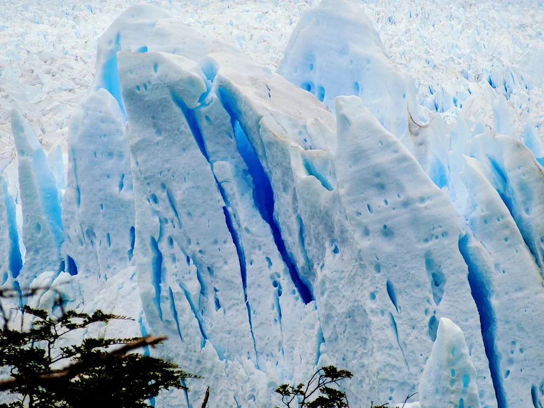 Nepal Glacier Tragedy Ignites Argentine Pushback Against Mining Reform